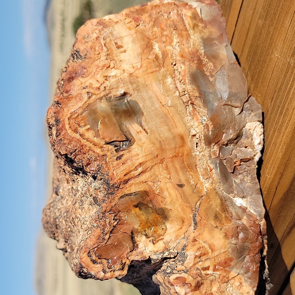 7lbs Az rainbow chunk Agatized petrified wood with sparkling crystals
